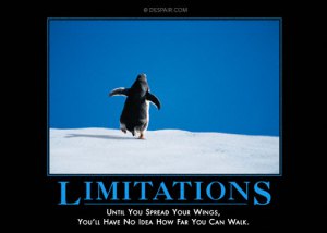 Limitations