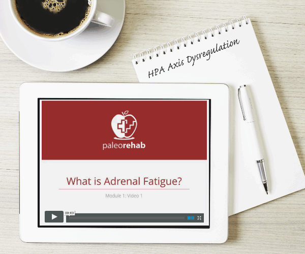 tablet-what-is-adrenal-fatigue-animation_256-2