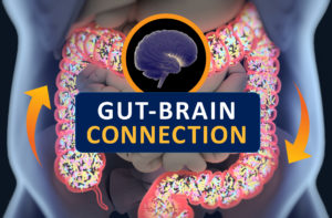 Gut brain axis or connection, gut infection HPA axis dysregulation connection