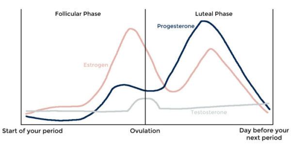 Seed Cycling For Balanced Hormones: Does It Work? • Laura Schoenfeld